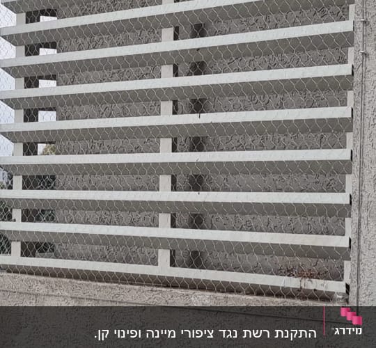 רשת מתכת על תריסים למניעת כניסת יונים